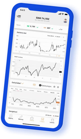 Zaffiro Capitorio applicazione web digitale su dispositivo mobile